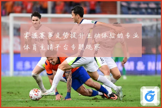 掌握赛事走势提升互动体验的专业体育竞猜平台专题观察