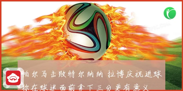 帕尔马击败特尔纳纳 拉博庆祝进球称在球迷面前拿下三分更有意义
