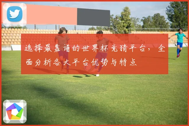 选择最靠谱的世界杯竞猜平台，全面分析各大平台优势与特点