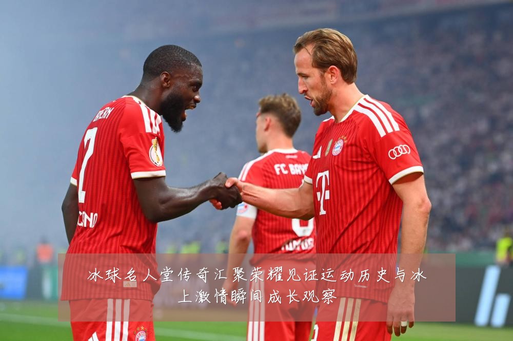 冰球名人堂传奇汇聚荣耀见证运动历史与冰上激情瞬间成长观察